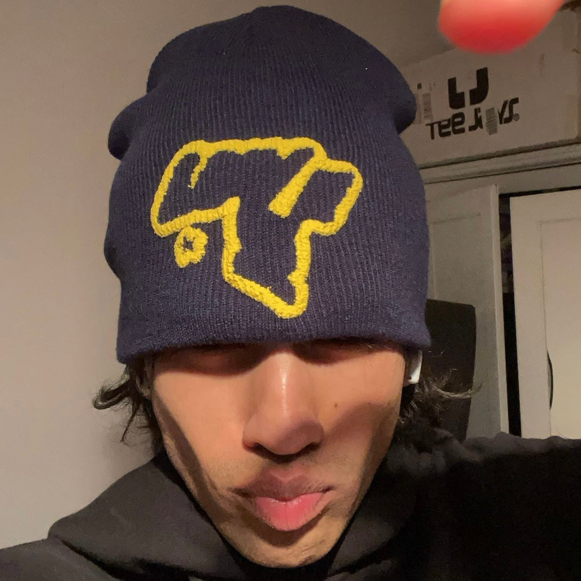 Puffprint Beanie (+free tshirt)